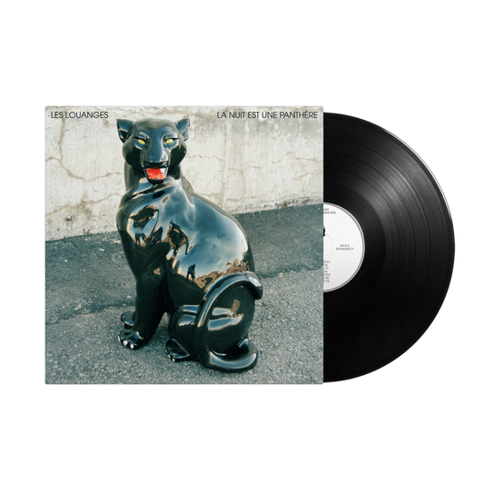 La nuit est une panthère