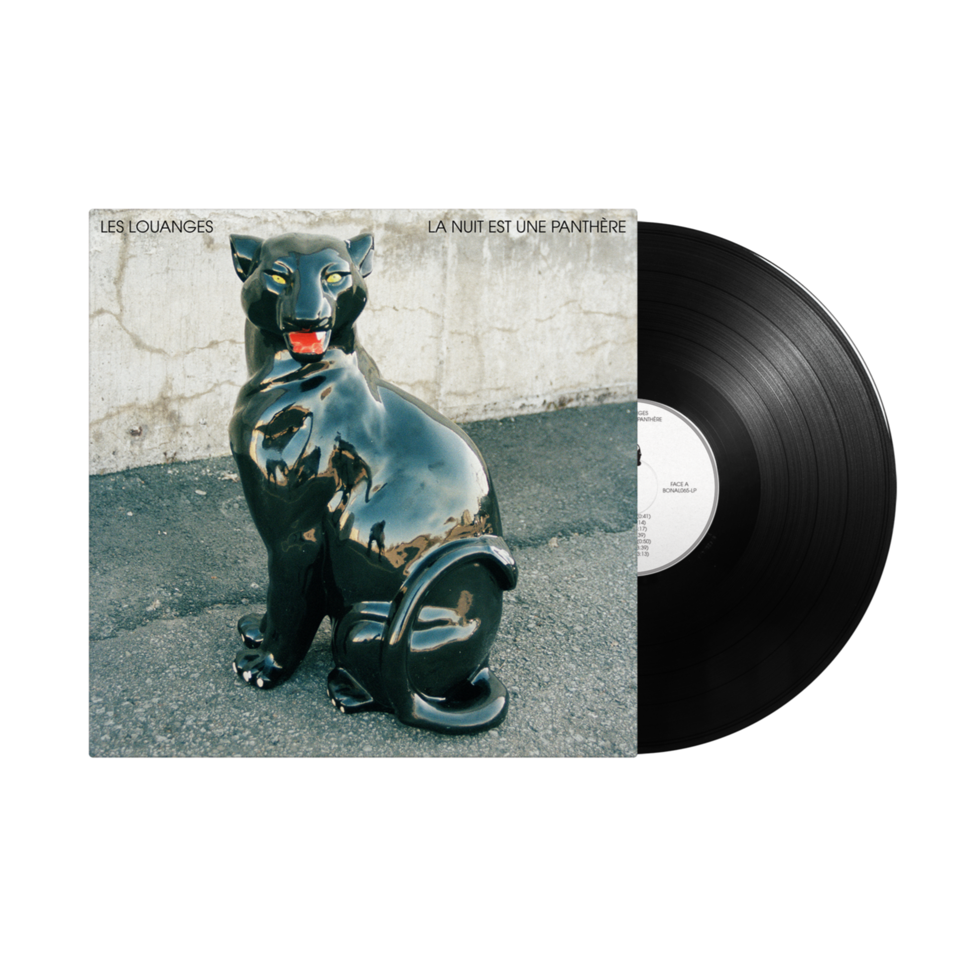 La nuit est une panthère