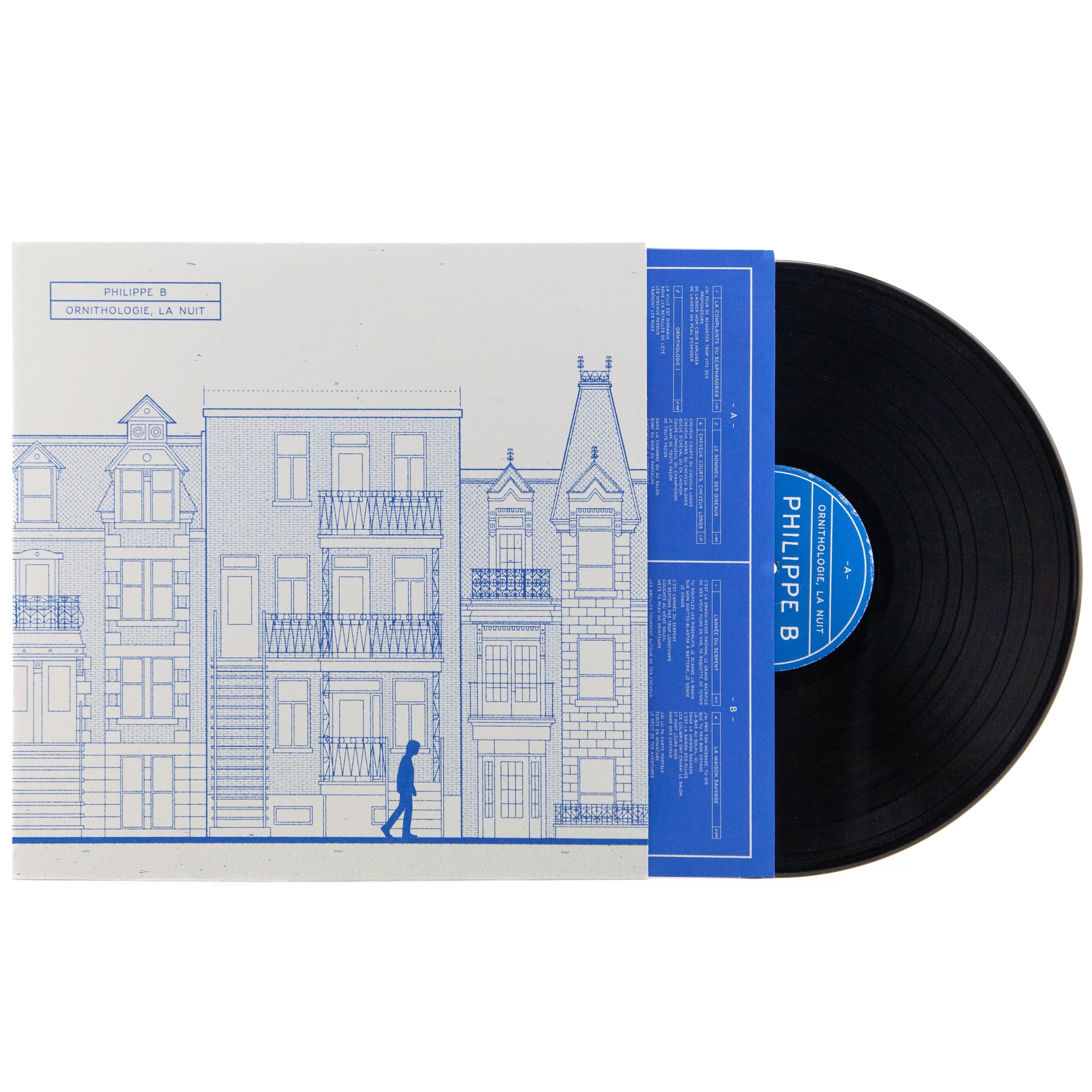 Ornithologie, la nuit